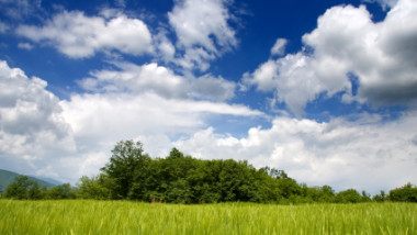 blue sky and field