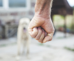 Domestic Violence and Pets, illustrated by an angry fist and dog