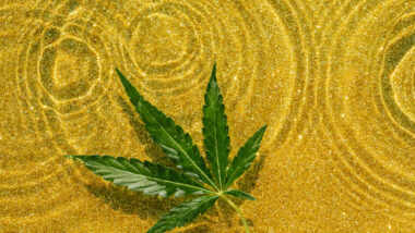 Cannabis oil background with marijuana leaf on the surface