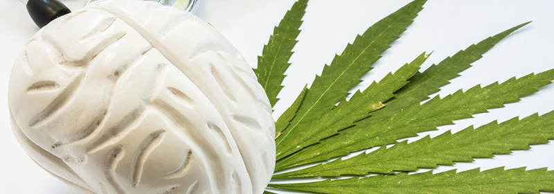 Effects of Cannabis