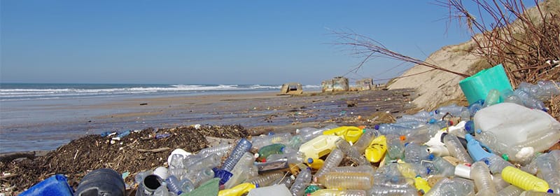 Microplastics in the Environment