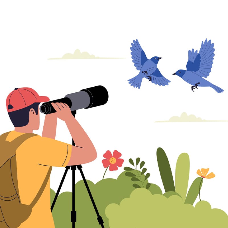 Neurodivergent person in nature photographing birds