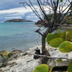 Profile photo of GaRN18